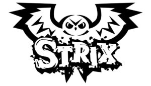 【会期1/27(土)】STRIX ライブ公演 開催！＠中池袋公園の画像